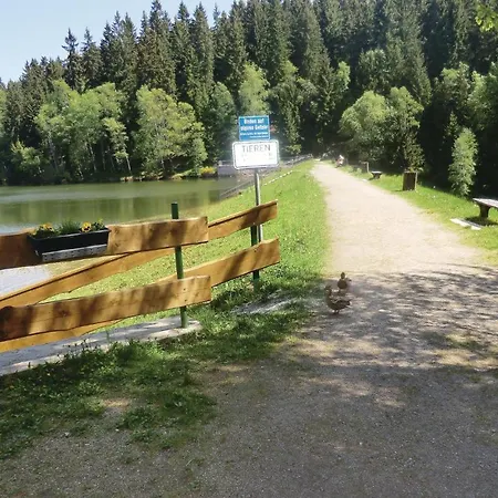 Beautiful In Auerbach With 4 Bedrooms And Wifi